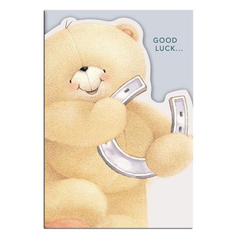 Good Luck Horse Shoe Forever Friends Card